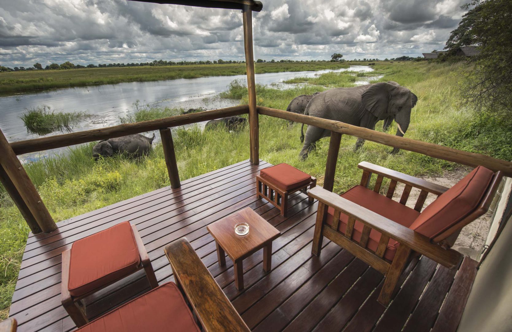 Deck with a view on elephants watering place