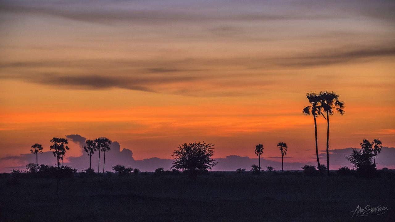 Sunset at Makgadikgadi in Botswana
